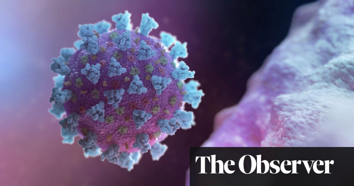 Five months on, what scientists now know about the coronavirus