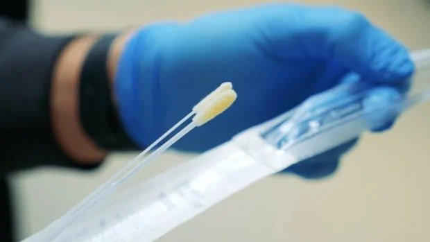 Ebola drug can infiltrate, trick coronavirus from the inside, Alberta study suggests
