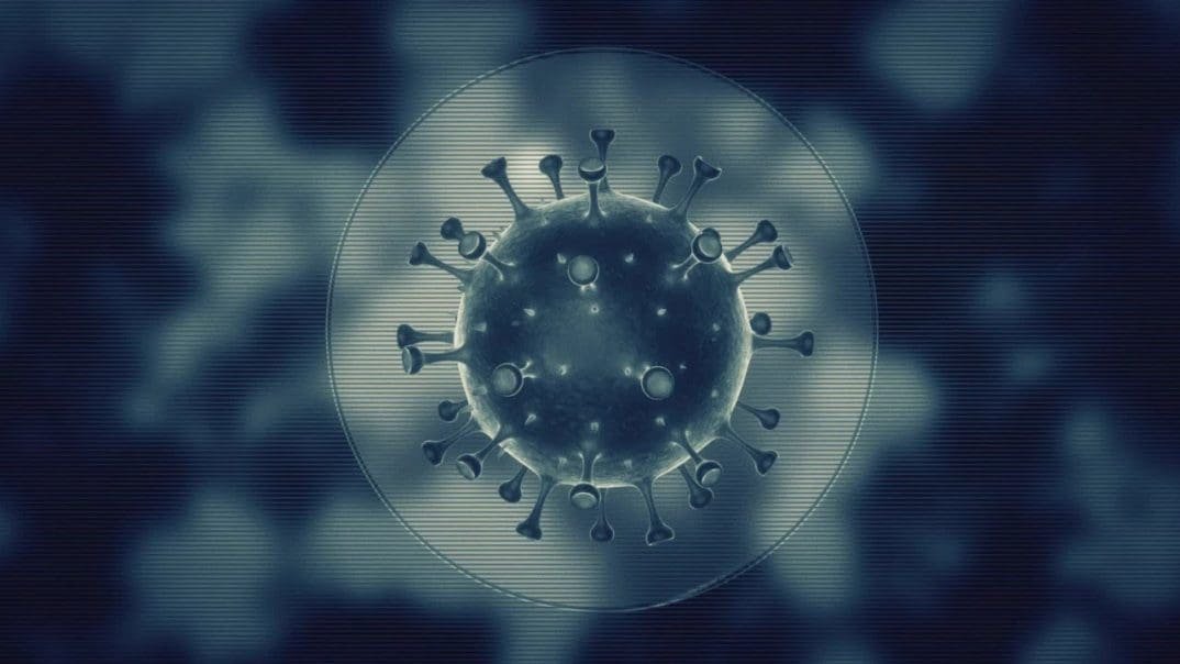 COVID-19 ‘likely originated’ in an animal, not a lab: WHO