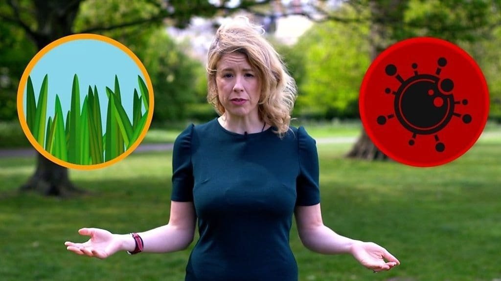 Coronavirus: Hay-fever symptoms could mimic Covid-19, GPs warn