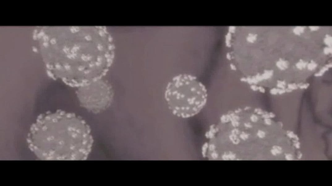 Convalescent plasma could help COVID-19 patients, health care workers