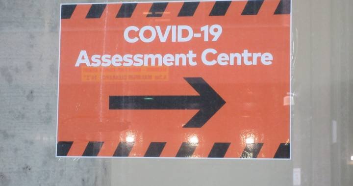 Hamilton has 354 COVID-19 cases, 17 deaths: public health