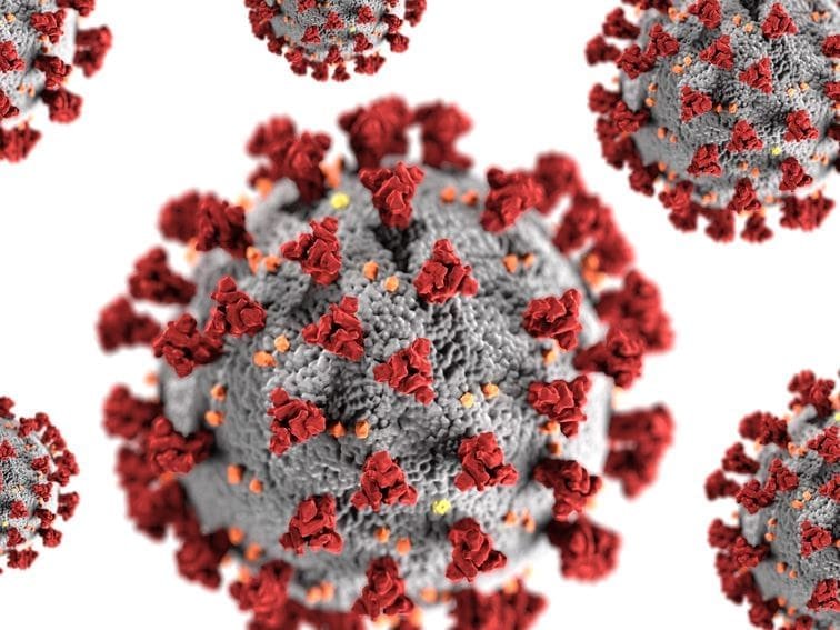 Coronavirus testing: What you need to know about antibody tests, antigens and serology