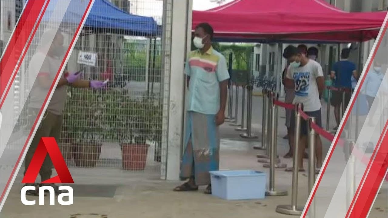 Singapore now able to conduct more than 8000 COVID-19 tests daily