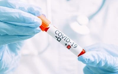 Local COVID-19 cases, recoveries edge higher